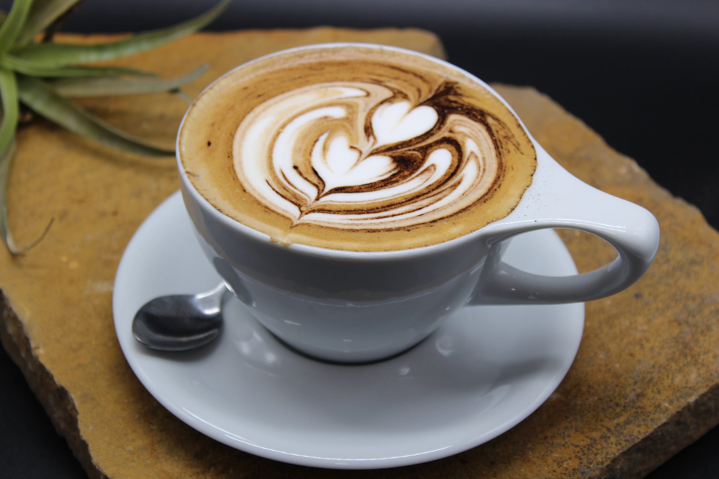 Mexican Mocha Deep Creek Coffee Co